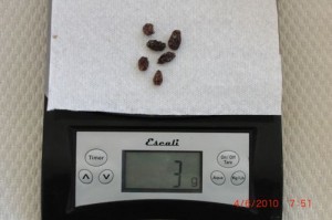 This is what 3 grams of raisins looks like